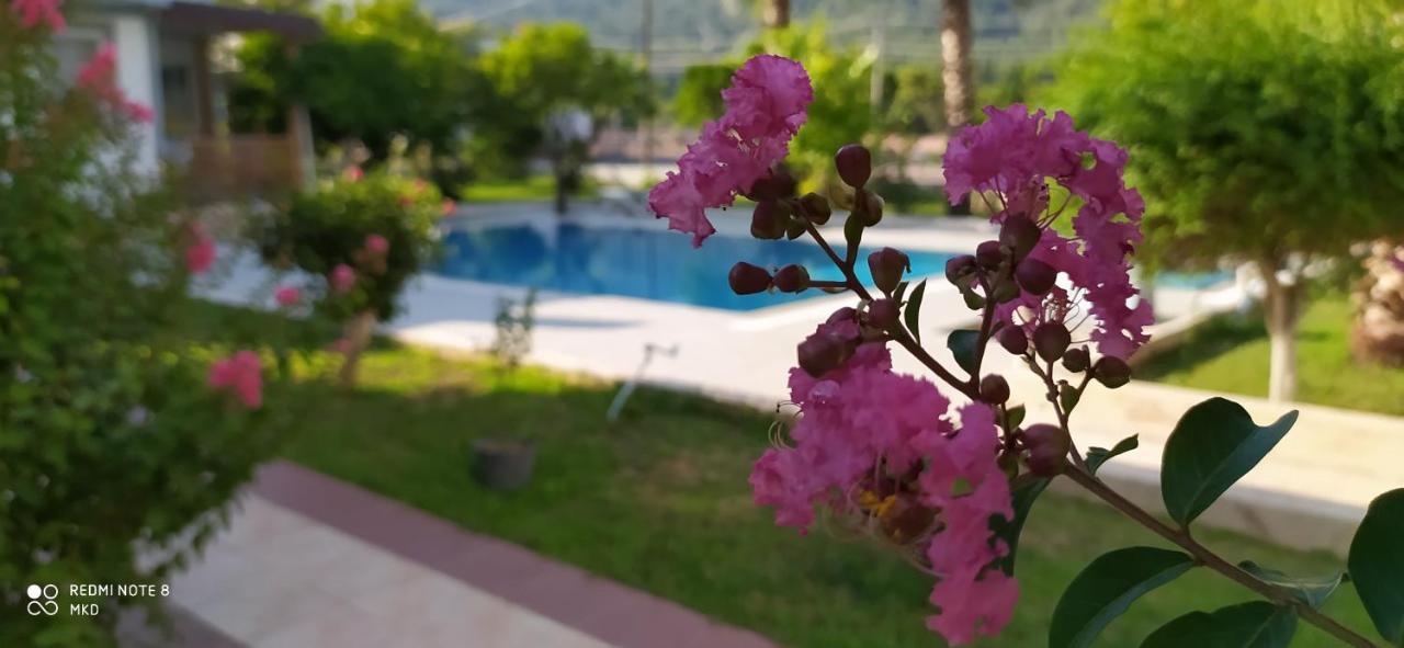 Green Garden Otel Kemer Esterno foto